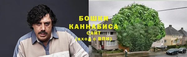 кокс Вяземский